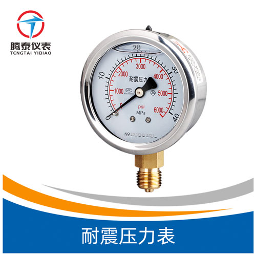 <b>耐震壓力表</b>