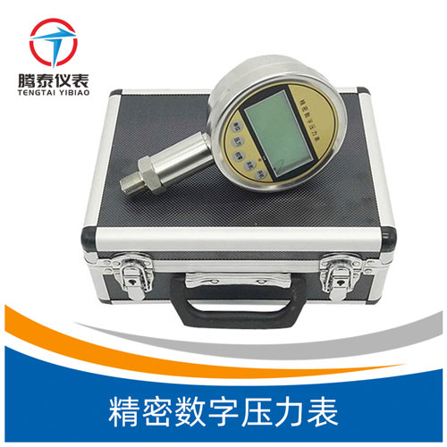 <b>精密數(shù)字壓力表</b>