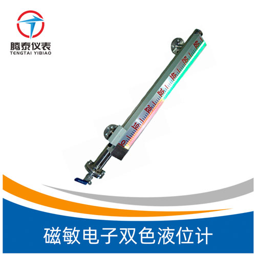<b>磁敏電子雙色液位計(jì)</b> <b>磁敏電子雙色液位計(jì)</b>
