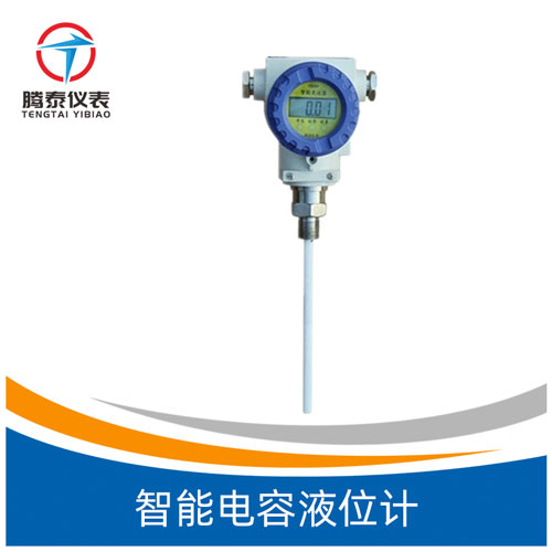 <b>智能電容液位計(jì)</b> <b>智能電容液位計(jì)</b>