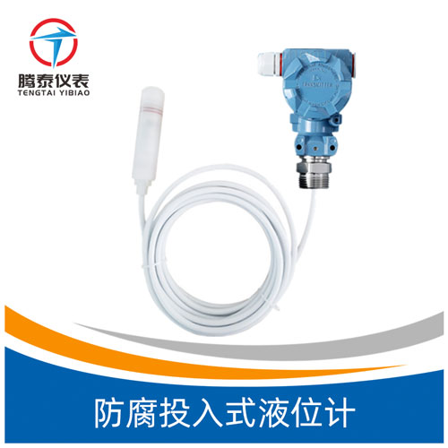 <b>防腐投入式液位計</b> <b>防腐投入式液位計</b>